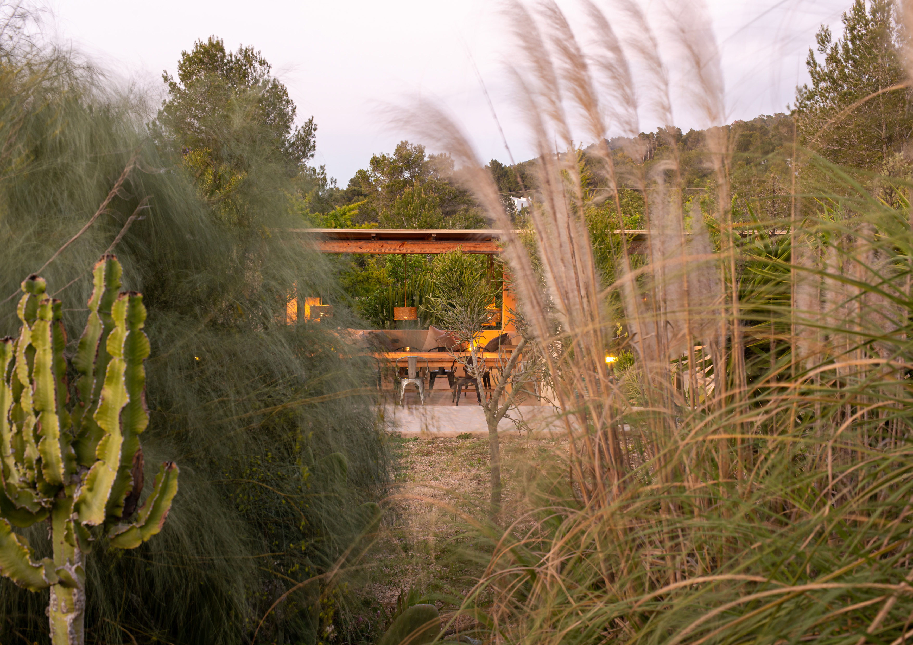 Pool with palm trees